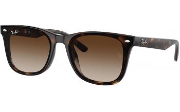 Ray-Ban RB4420 Sunglasses