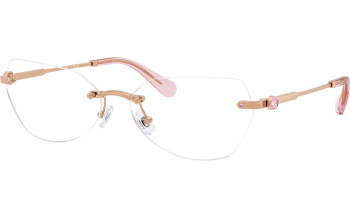 Swarovski SK1031 Glasses