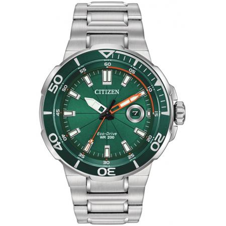 citizen eco drive wr100 strap