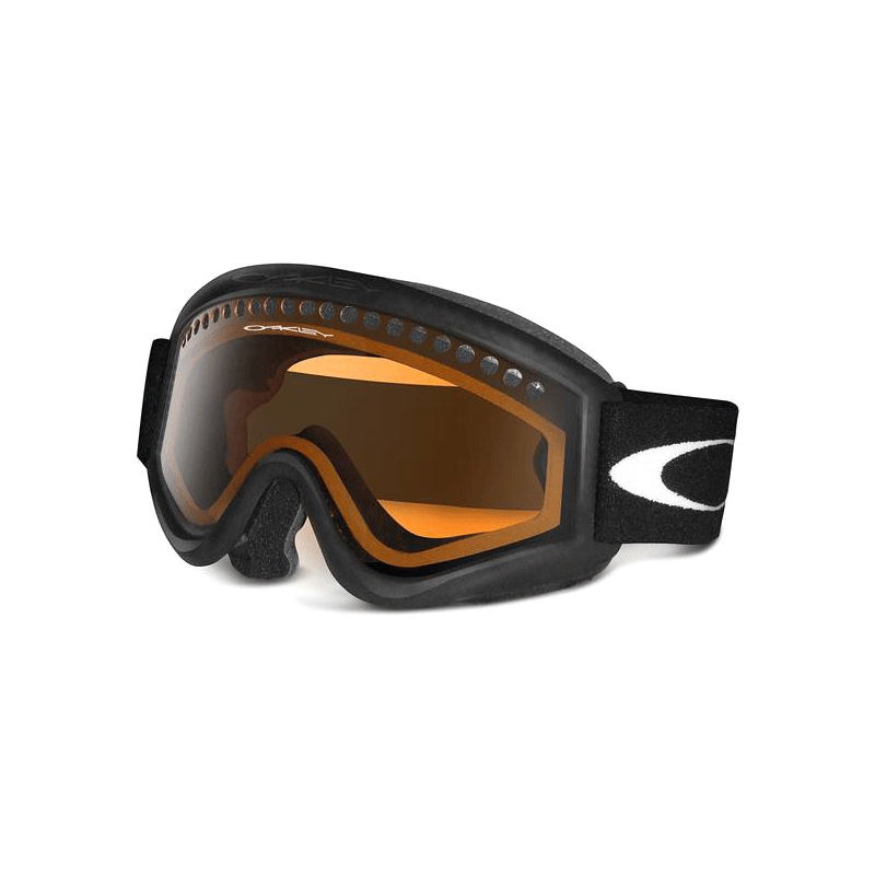 Oakley L Frame 02-349 Goggles - Shade Station
