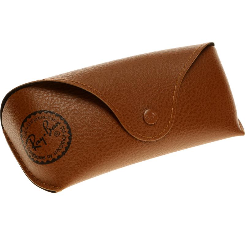 Brown Ray Ban Case