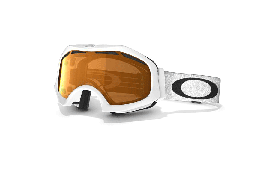 Oakley Catapult 57531 Goggles Shade Station