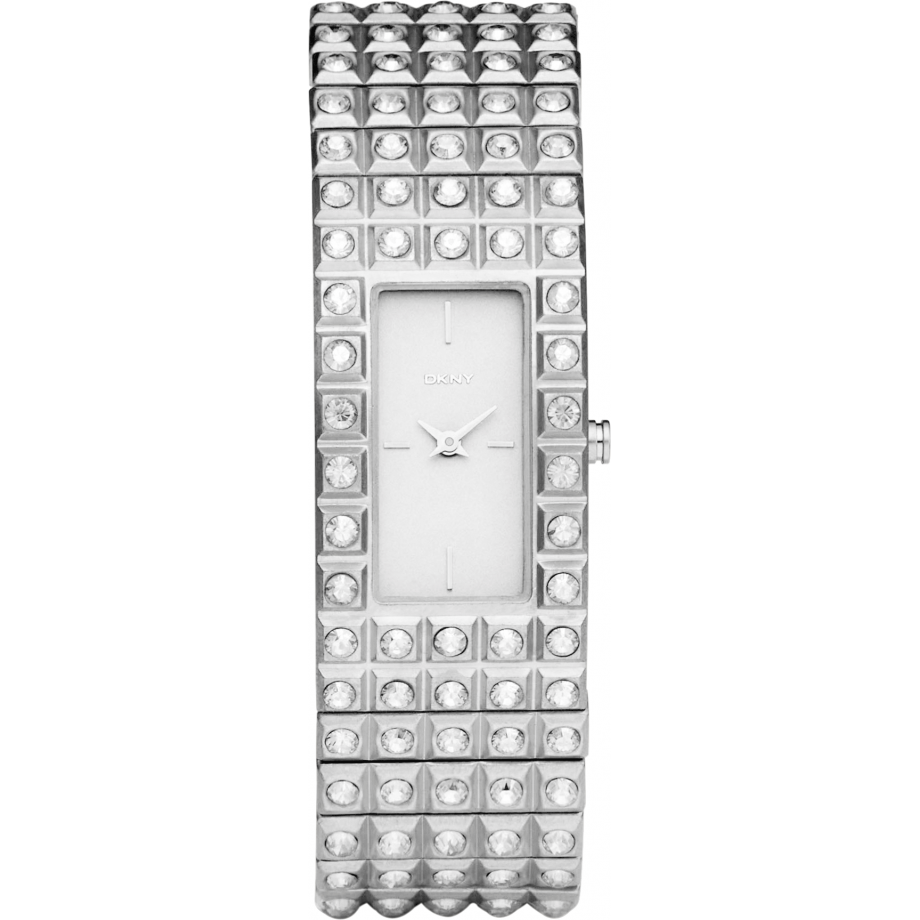 DKNY NY8243 Watch