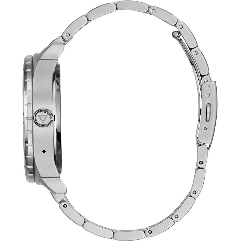 guess c1001g4